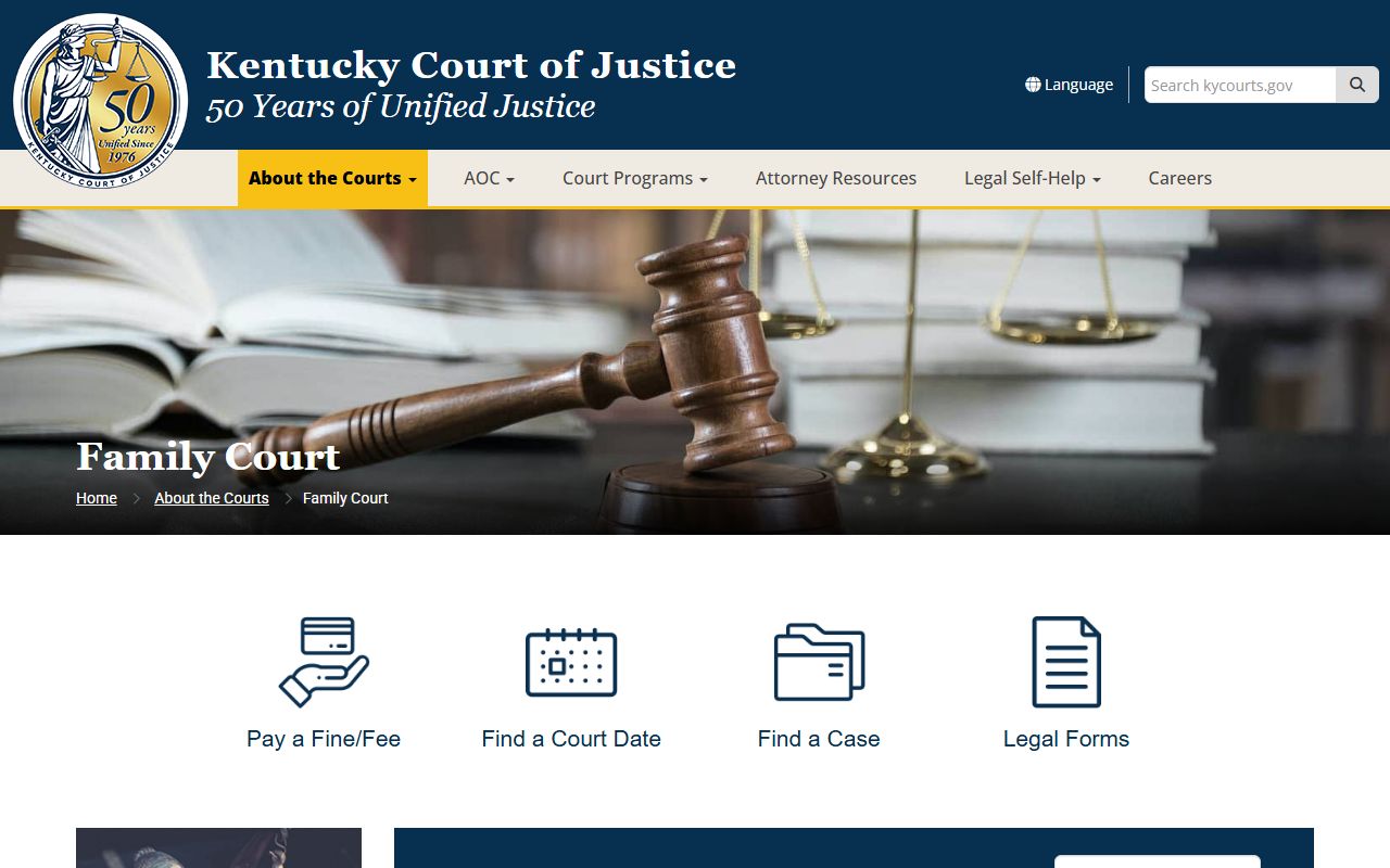 Anderson County Family Court records structure
